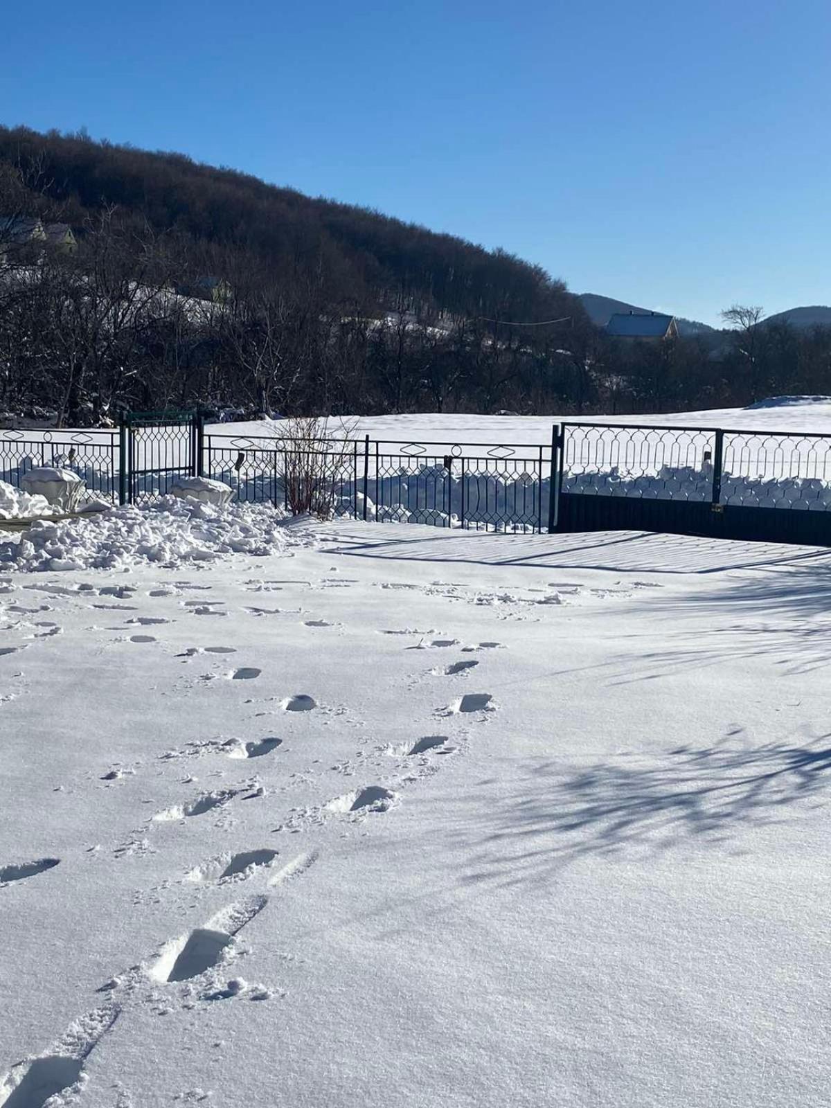 فيلا Vikendica Matic جوتش المظهر الخارجي الصورة